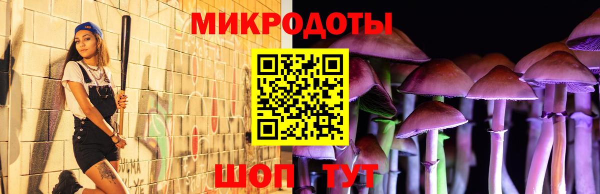 Галлюциногенные грибы мухоморы Коммунар